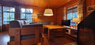 Sauna | Wi-Fi | Terrace | Wood stove | Cable TV - 8