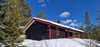 Sauna | Wi-Fi | Terrace | Wood stove | Cable TV - 0