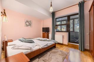 Ski View Apartment Predeal - Predeal - 9