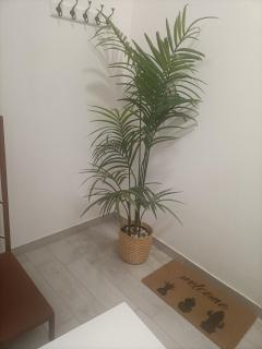 airportandbeachhouse - Catania - 4