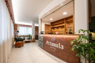 La Primula - Borgo San Dalmazzo - 8
