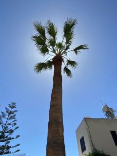 Seaside Luxury Flat in Harbour Tourist Area - 9