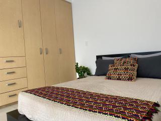 C206 - 1BR - 1BTh - Città del Messico - 8