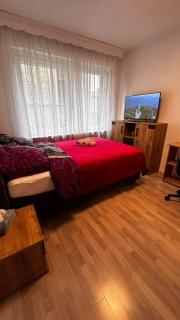 Ferienwohnung in Detmold - Detmold - 8