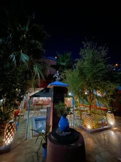 Riad Dades Birds - Boumalne - 3