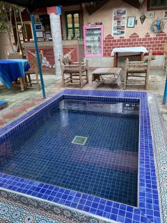 Riad Dades Birds - Boumalne - 4