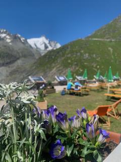 Tauernberg ALM-Hütte - Heiligenblut - 8