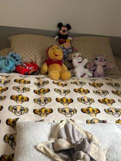 maison luxe disney aeroport tillé 2 a 5 personnes - Tillé - 1