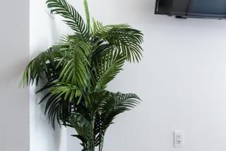 24-16 Studio Gramercy W&D gramercy - 8