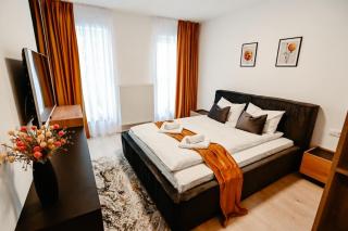 Luxury Apartament Coresi - Braşov - 6