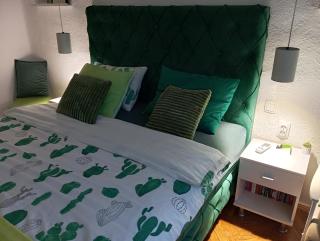 Green Cactus Rooms - unique and cozy house - 5