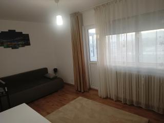 Apartament 2 camere langa Aeroport - 8