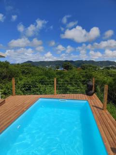 Lodge Eden Caraibes 6p avec piscine privée 6x3 - Sainte-Anne - 8