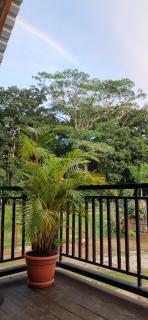 Cabaña Bungalow - 6