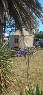 Yurtas Playa San Francisco - 8