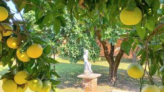Da Ninnilla Holiday Home Scafati - Scafati - 6