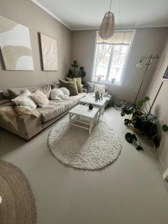 Sjarmerende, sentrumsnær leilighet - Tønsberg - 1
