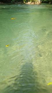 Recanto dos Ipês - 4