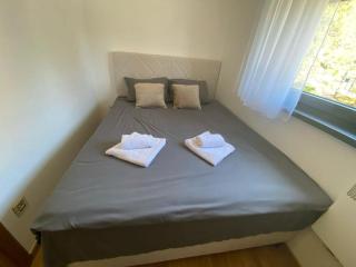 SNEŽA - Zlatibor - 9