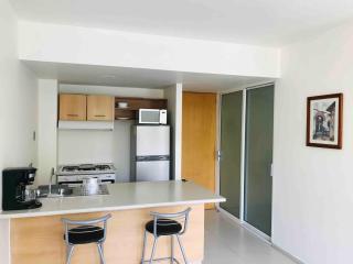 B104 - 1BR - 1BTh - Città del Messico - 9