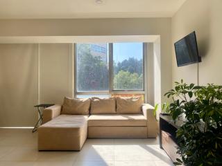 B104 - 1BR - 1BTh - Città del Messico - 8