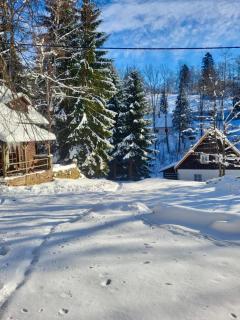 Srub v Bolkovském údolí - Rudník - 7