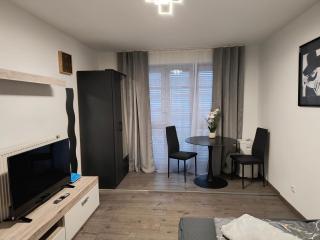 Apartment Regensburg City - Ratisbona - 9