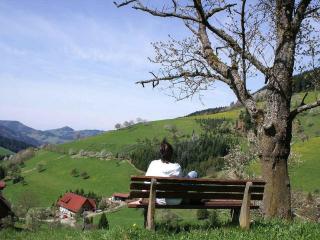 Unterer Gurethshof - Zell am Harmersbach - 4
