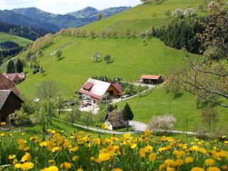 Unterer Gurethshof - Zell am Harmersbach - 8