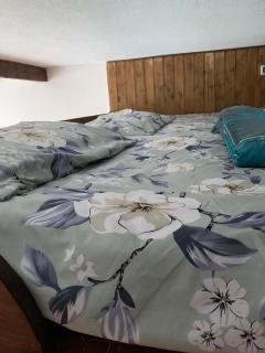 Loft 1 new Gudauri - Goedaoeri - 7