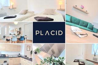 Le Commercy - En Hyper Centre Et Très Spacieux - 9