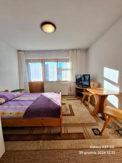 U Tylki Pokoje typu studio z widokiem na Giewont, PARKING GRATIS - 1