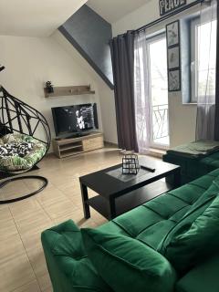 Apartman Blagojevic - Divčibare - 8