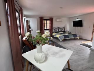 Estudio en las montañas - La Matanza de Acentejo - 9