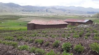 Casa Serena - Yanaoca - 7