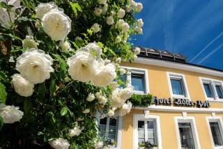 Hotel Adler Post - 8