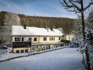Fantastic spacious holiday apartment in nature - - 0