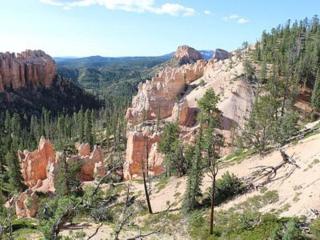 Bryce Canyon Country House - Hatch - 9
