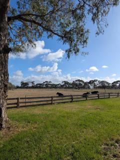 Cosy Connewarre Cottage - 1