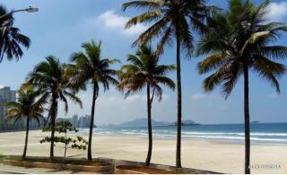 Apto 1 quadra da praia - Pitangueiras - 8