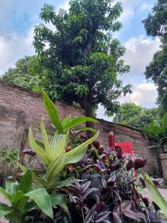 Entre Mangos y Tucanes - 6