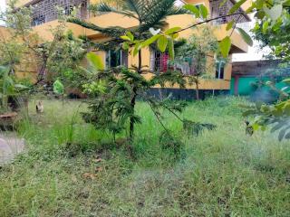 Priza's Dale - - 4