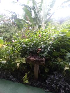 Berkey's Jungle Paradise Resort - Roseau - 4
