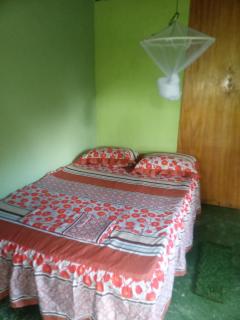 Berkey's Jungle Paradise Resort - 1