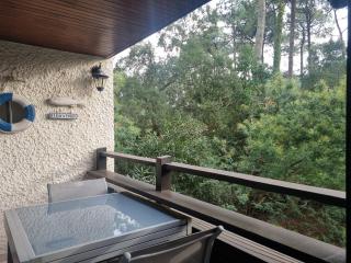 Spacieux T3 à Seignosse au bord de l'océan avec balcon - FR-1-239-1095 - Seignosse - 0