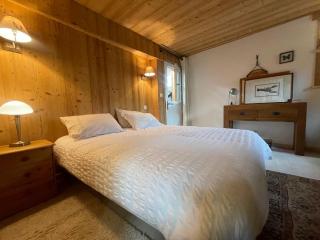 Chalet paisible avec cheminée et animaux acceptés près des pistes - FR-1-624-176 - Sixt - 2