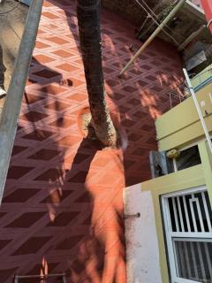 VEMI Homestay - Honāvar - 4