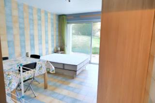 Studio charmant dans Brioude – 25 m² avec terrasse et parking - 4