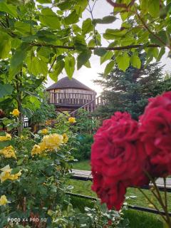 Happy Nomads Yurts & Hostel - Karakol - 1