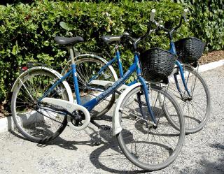 Hotel Odeon - Cervia - 8